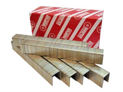 88Series Staples