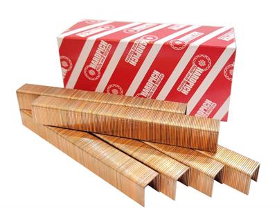 80Series Staples