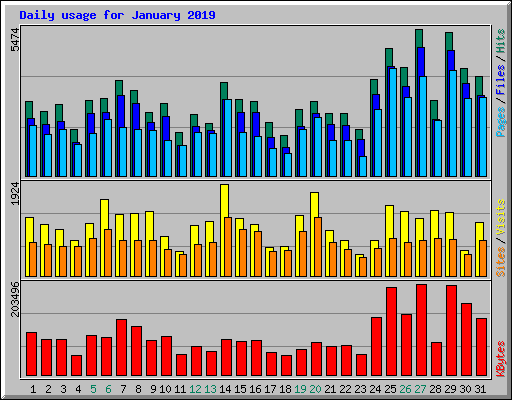 Daily usage for January 2019