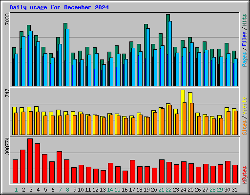 Daily usage for December 2024