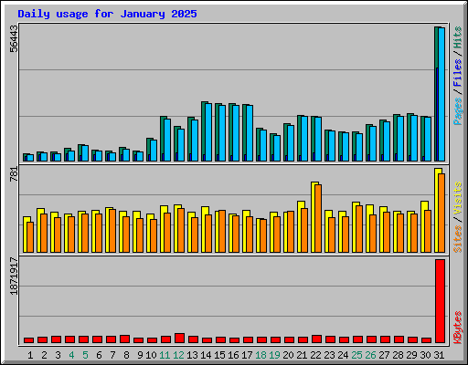 Daily usage for January 2025