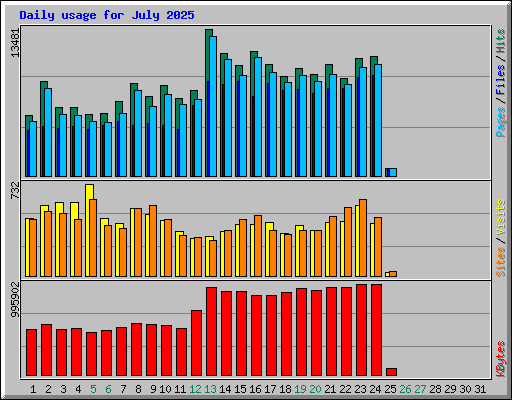Daily usage for July 2025