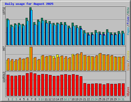 Daily usage for August 2025