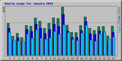 Hourly usage for January 2019