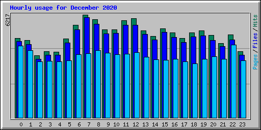Hourly usage for December 2020