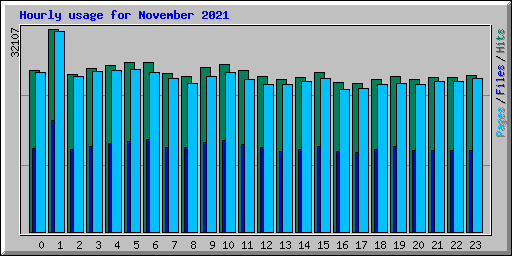 Hourly usage for November 2021