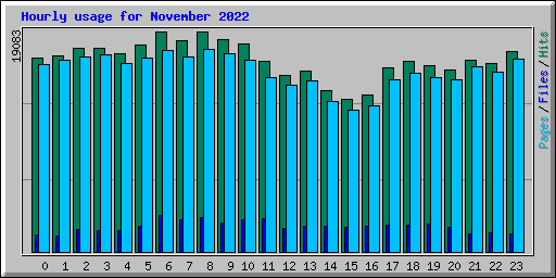 Hourly usage for November 2022