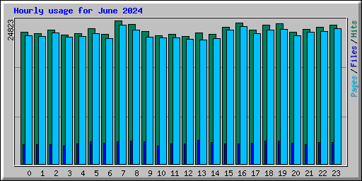 Hourly usage for June 2024