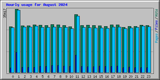 Hourly usage for August 2024