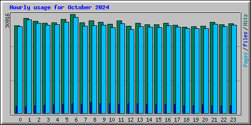 Hourly usage for October 2024