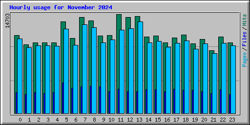 Hourly usage for November 2024