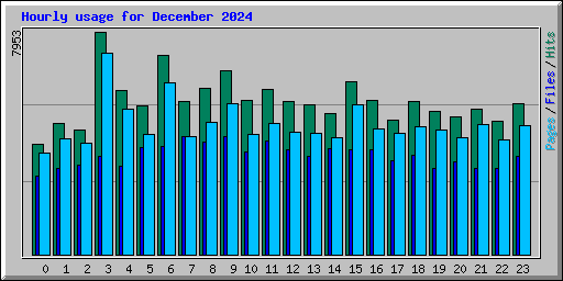 Hourly usage for December 2024