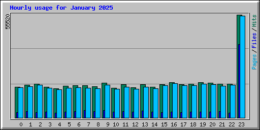 Hourly usage for January 2025