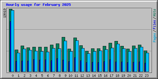 Hourly usage for February 2025