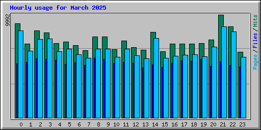 Hourly usage for March 2025