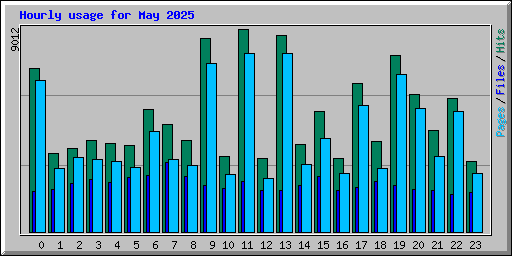 Hourly usage for May 2025