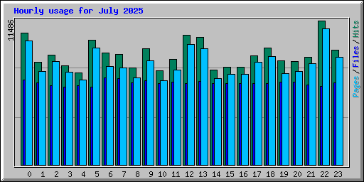 Hourly usage for July 2025