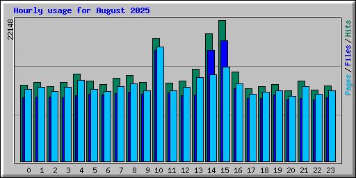 Hourly usage for August 2025