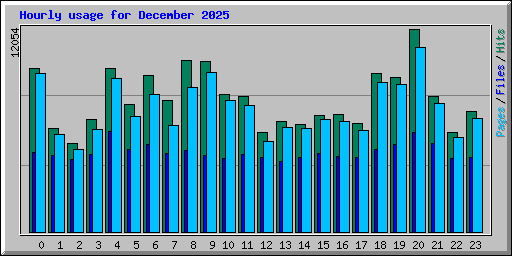 Hourly usage for December 2025