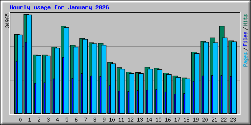 Hourly usage for January 2026