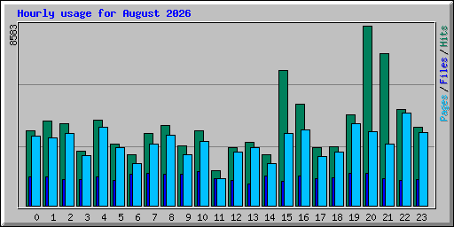 Hourly usage for August 2026